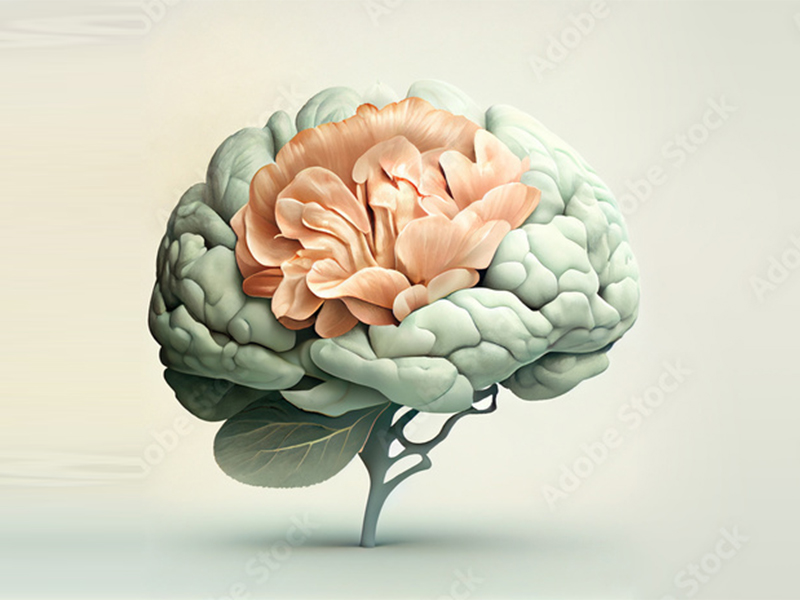 AdobeStock_670486698_Preview