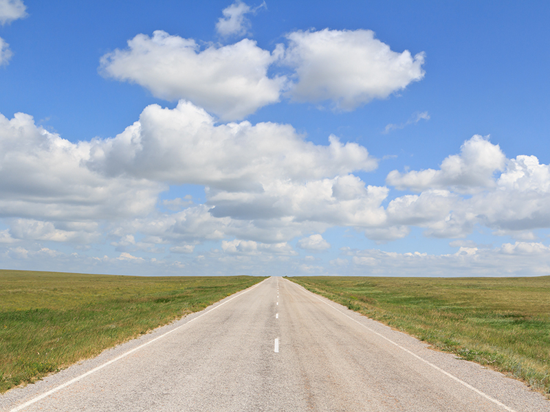 The asphalt road straight going beyond the horizon